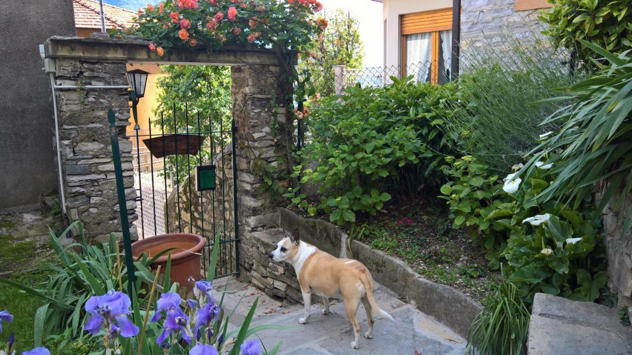 B&B "A Casa Di Camilla" Carate Urio Екстериор снимка